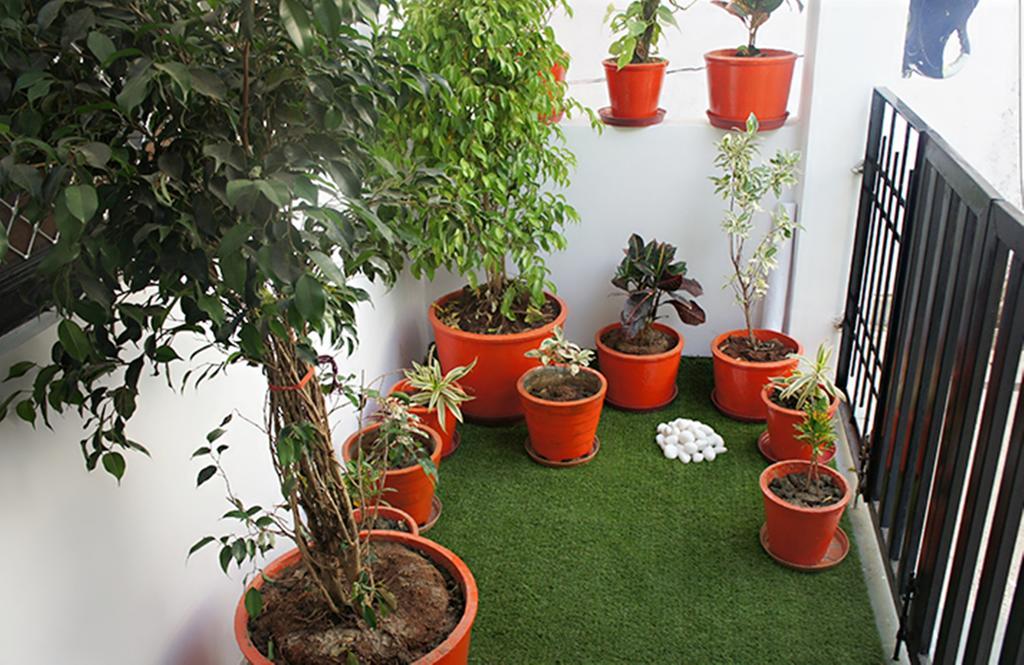 Lassi Guest House أُودايبور المظهر الخارجي الصورة